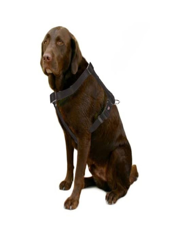 Trixie Premium H-Harness Belt for Dogs, Stylish Design, Adjustable Webbing Tape, Strain Relief, Lightweight & Adjustable Straps (S-M, Black) - Image 2